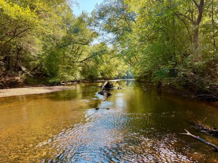 Farm Property for sale in Perry County, Alabama