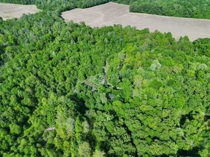 Ranch Property for sale in Ohio County, Kentucky