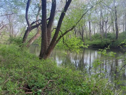 Farm Property for sale in Vermilion County, Illinois