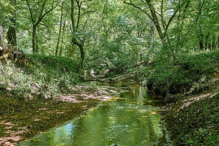 Farm Property for sale in Oglethorpe County, Georgia