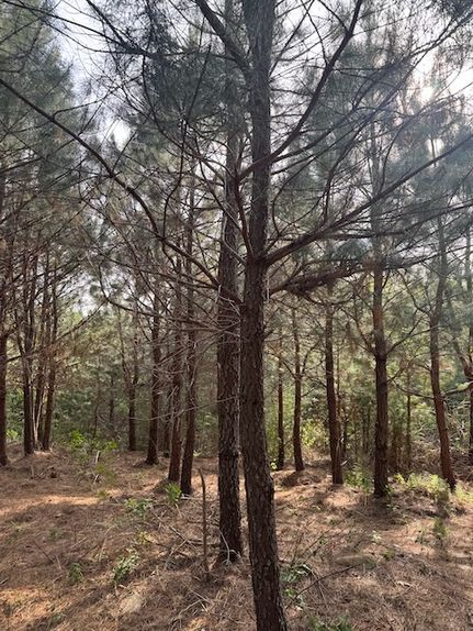 Ranch Property for sale in Albemarle County, Virginia