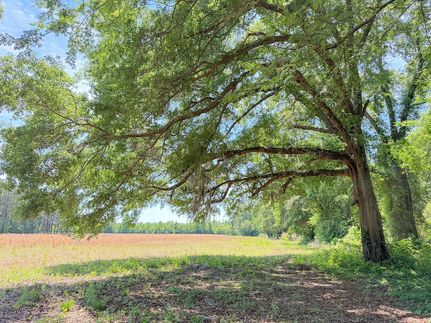 Ranch Property for sale in Marion County, South Carolina