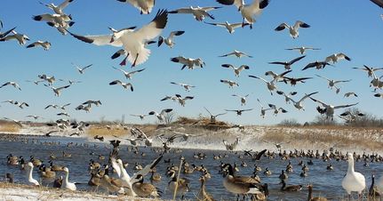 Commercial Property for sale in Dawson County, Nebraska