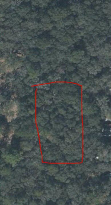 Farm Property for sale in Levy County, Florida