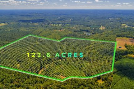Undeveloped Land for sale in Monroe County, Georgia