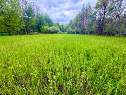 Farm Property for sale in Monroe County, Michigan