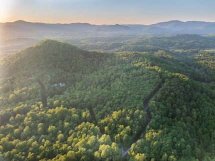Timberland Property for sale in Amherst County, Virginia