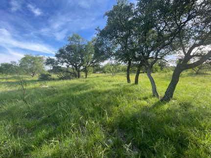 Farm Property for sale in Schleicher County, Texas