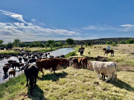 Riverfront Property for sale in Guadalupe County, New Mexico