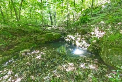 Ranch Property for sale in Pope County, Illinois