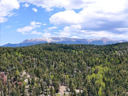 Farm Property in Teller County, Colorado