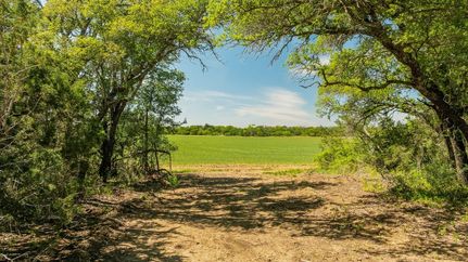 Timberland Property for sale in Coleman County, Texas