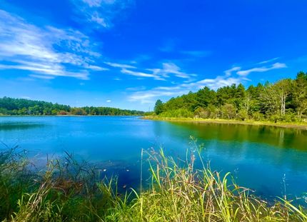 Ranch Property for sale in Sumter County, Alabama