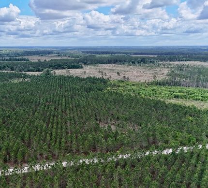 Farm Property for sale in Wayne County, Georgia
