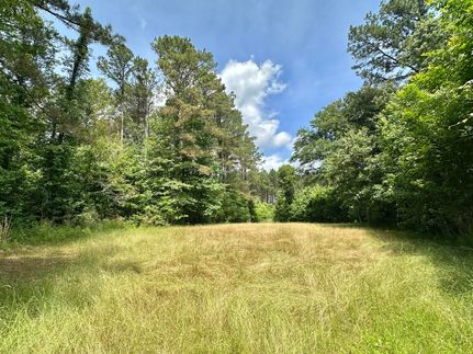 Recreational Property for sale in Scott County, Mississippi