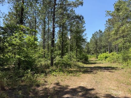 Ranch Property for sale in Early County, Georgia