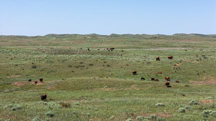 Commercial Property for sale in Morrill County, Nebraska