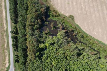 Farm Property for sale in Leflore County, Mississippi