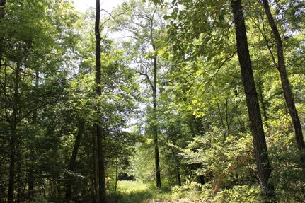 Farm Property for sale in Polk County, Texas