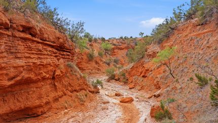 Farm Property for sale in Fisher County, Texas
