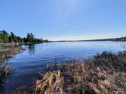 Farm Property for sale in Iron County, Michigan