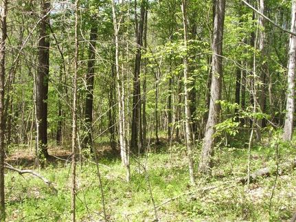 Farm Property for sale in Charlotte County, Virginia