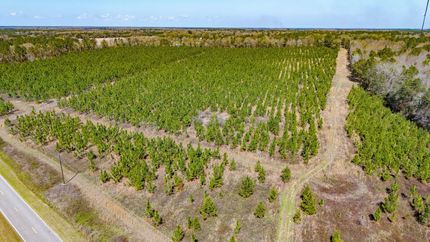 Undeveloped Land for sale in Calhoun County, Georgia
