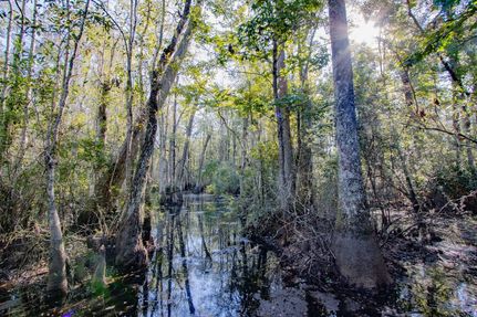 Farm Property for sale in Holmes County, Florida
