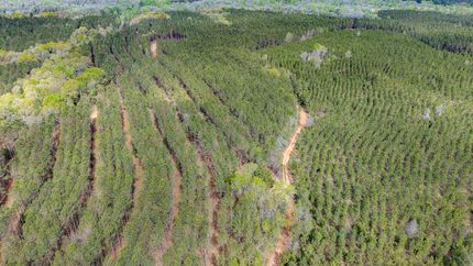 Ranch Property for sale in Terrell County, Georgia