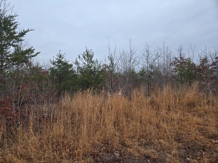 Farm Property for sale in Prince Edward County, Virginia