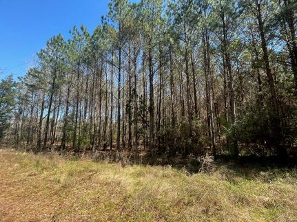 Farm Property for sale in Monroe County, Alabama