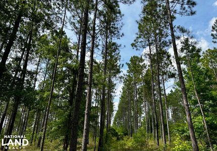 Residential Property for sale in Telfair County, Georgia