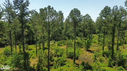 Farm Property for sale in Burke County, Georgia