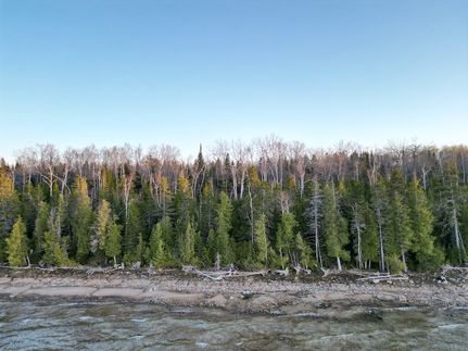Farm Property for sale in Cheboygan County, Michigan