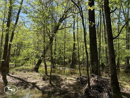 Ranch Property for sale in Lamar County, Alabama