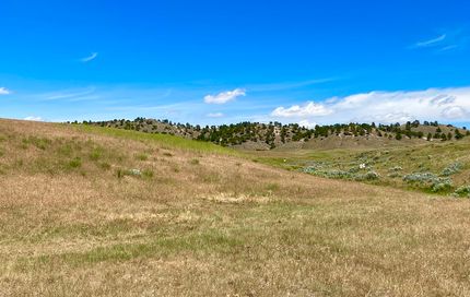 Undeveloped Land for sale in Johnson County, Wyoming