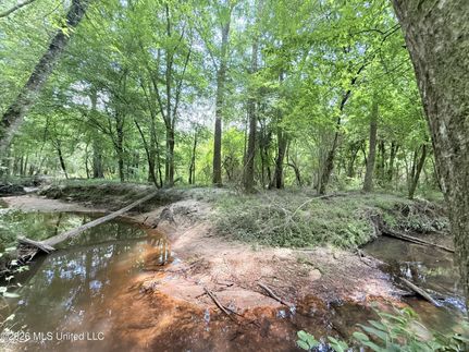 Farm Property for sale in Lincoln County, Mississippi