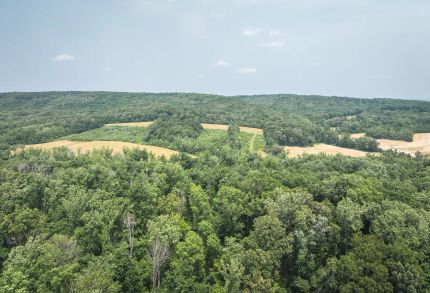 Recreational Property for sale in Gallatin County, Illinois