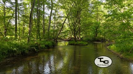 Farm Property for sale in Lincoln County, Tennessee