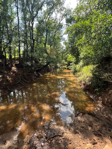 Timberland Property for sale in Eastland County, Texas