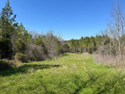 Recreational Property for sale in Monroe County, Mississippi