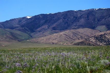 Farm Property for sale in Carbon County, Montana