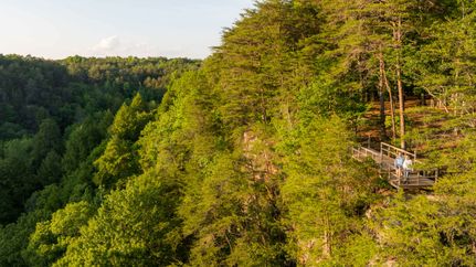 Ranch Property for sale in Marion County, Tennessee
