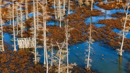 Farm Property for sale in Monroe County, Arkansas