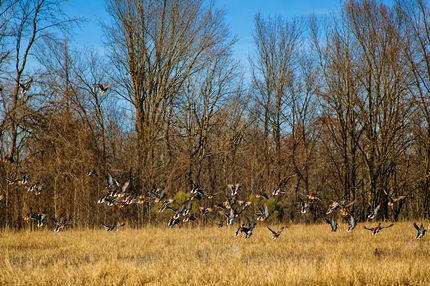 Farm Property for sale in Monroe County, Arkansas