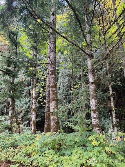 Ranch Property for sale in Lewis County, Washington