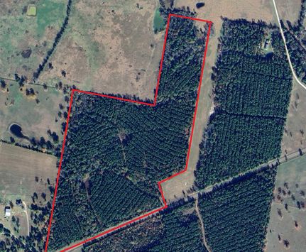 Timberland Property for sale in Trinity County, Texas