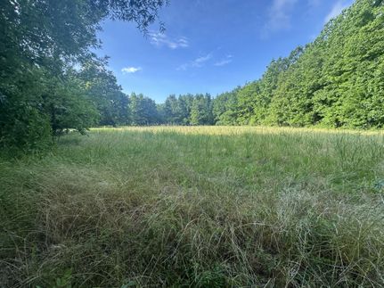 Farm Property for sale in Holmes County, Mississippi