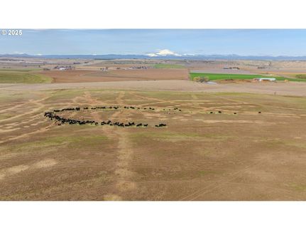 Timberland Property for sale in Jefferson County, Oregon