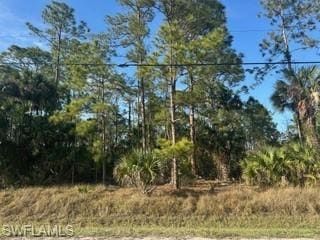 Farm Property for sale in Collier County, Florida